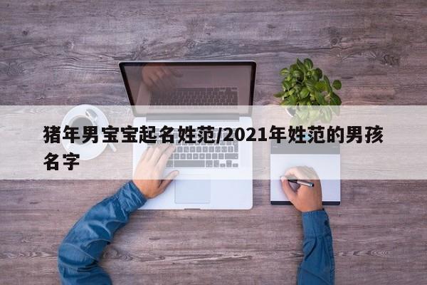 猪年男宝宝起名姓范/2021年姓范的男孩名字